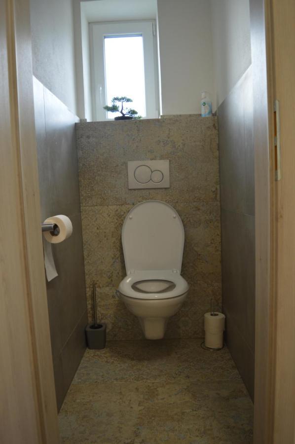 בזנץ Apartmany Olsovska מראה חיצוני תמונה