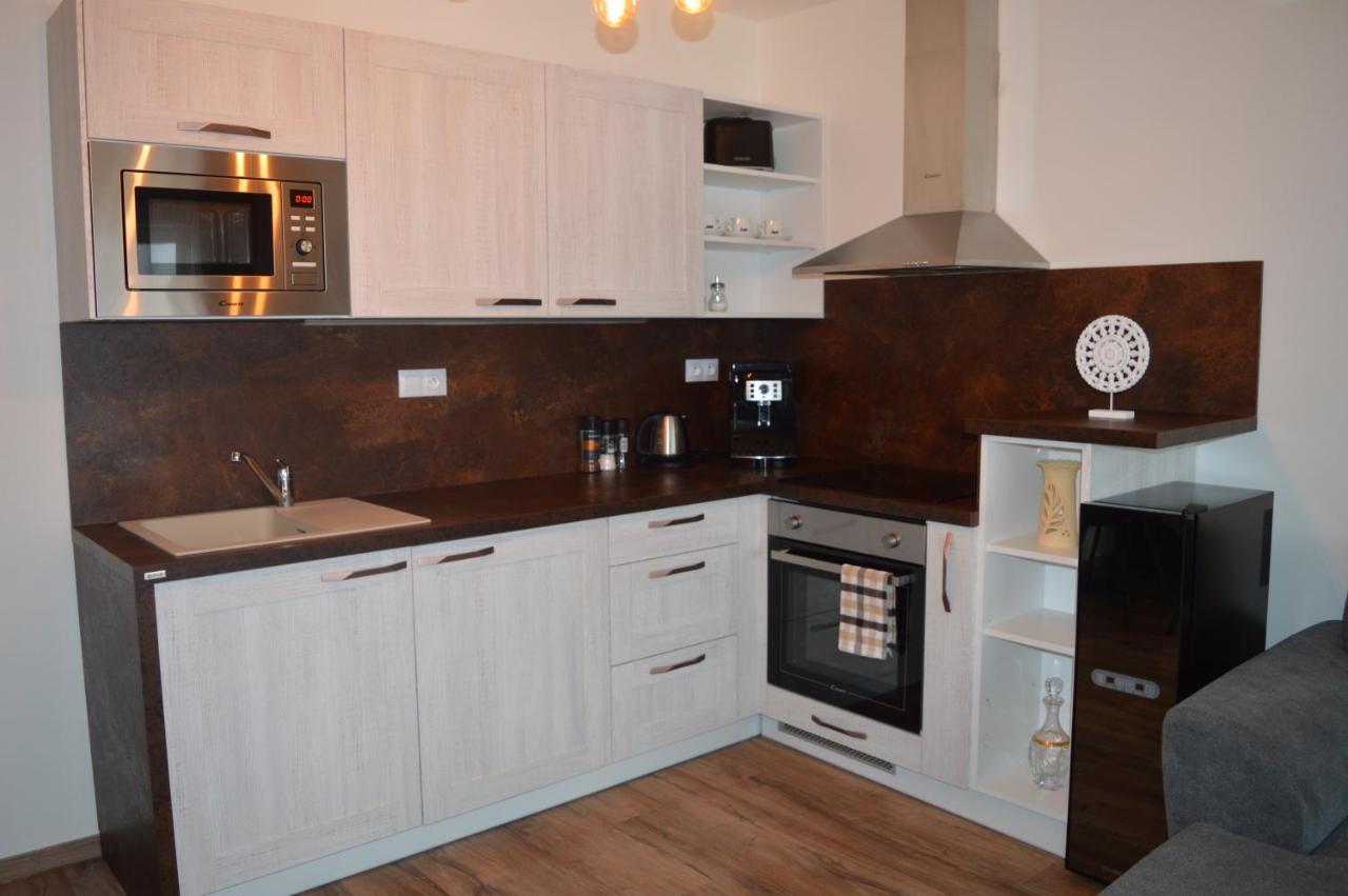 בזנץ Apartmany Olsovska מראה חיצוני תמונה
