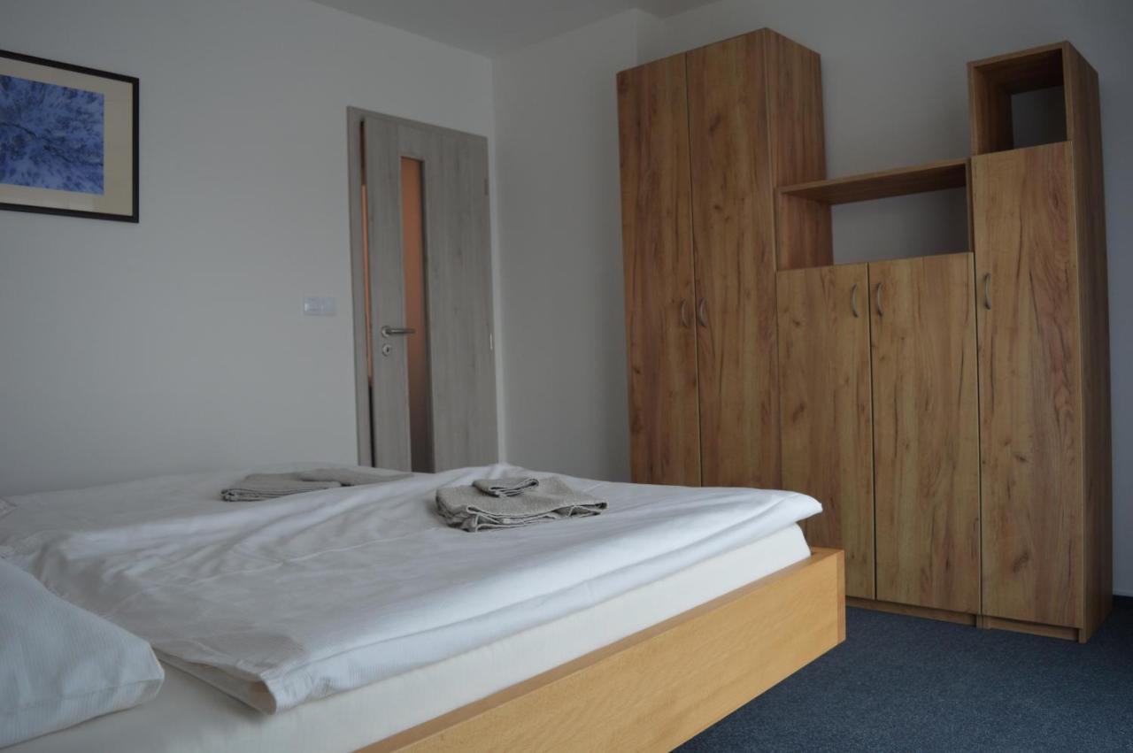 בזנץ Apartmany Olsovska מראה חיצוני תמונה